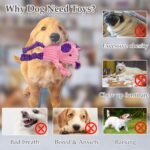 5 Pack Dog Toys Stuffed Squeaky Dog Toys Assortment Plush Animal Dog Toy Value Bundle Puppy Pet Dog Toys for Small Medium Large Dogs - Image 5