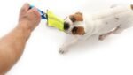 New Dog Bite Tug Toy - Extra Tough, Durable, Interactive Toys For Medium to Large Dogs by Bull Fit - Best For Tug of War, Fetch & Puppy Training! - Safe Fire Hose Dog Tug with Strong Handle, It Floats - Image 4