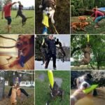 New Dog Bite Tug Toy - Extra Tough, Durable, Interactive Toys For Medium to Large Dogs by Bull Fit - Best For Tug of War, Fetch & Puppy Training! - Safe Fire Hose Dog Tug with Strong Handle, It Floats - Image 7