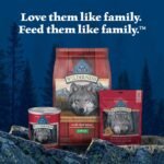 Blue Buffalo Wilderness High Protein Grain Free, Natural Adult Wet Dog Food, Salmon & Chicken Grill 354g Can (Pack of 12) - Image 10