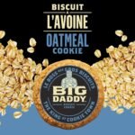 BIG DADDY Cookies Oatmeal Cookies, Soft & Tender Home-baked Style Gourmet Cookies, Contains 8 cookies (Individually Wrapped), 800g - Image 5