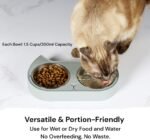7 Ruby Road Cute Cat Bowls for Indoor Cats and Kitty, Double Cat Food Water Bowl Set with 2 Stainless Steel Pet Dishes and Grey Silicone Feeding Station, 350ml Kitten Bowls for Wet & Dry Food - Image 4