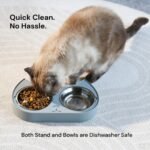 7 Ruby Road Cute Cat Bowls for Indoor Cats and Kitty, Double Cat Food Water Bowl Set with 2 Stainless Steel Pet Dishes and Grey Silicone Feeding Station, 350ml Kitten Bowls for Wet & Dry Food - Image 6