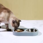 7 Ruby Road Cute Cat Bowls for Indoor Cats and Kitty, Double Cat Food Water Bowl Set with 2 Stainless Steel Pet Dishes and Grey Silicone Feeding Station, 350ml Kitten Bowls for Wet & Dry Food - Image 9