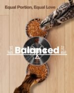 Automatic Cat Feeder 2 Cats: Stainless Steel Cat Food Dispenser with Double Bowls for Dry Food - 5L Timed Pet Feeder - Indoor Small Dog Food Dispenser with Dual Power and Button Control - Image 3