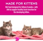 Tiki Cat Baby Favorites Whole Foods Wet Cat Food for Kittens Mega Pack, 2.4 oz. Cans (24 Count) - Image 10