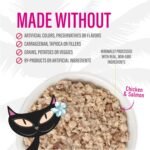 Tiki Cat Baby Favorites Whole Foods Wet Cat Food for Kittens Mega Pack, 2.4 oz. Cans (24 Count) - Image 11