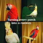 Kaytee Bird Greens Treat for All Pet Birds, 1 oz - Image 6