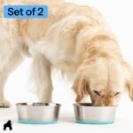 GORILLA GRIP Stainless Steel Metal Dog Bowl Set of 2, Rubber Base, Heavy Duty, Rust Resistant, Food Grade BPA Free, Less Sliding, Quiet Pet Bowls for Cats and Dogs, Holds 2 Cups (16 fl oz), Turquoise - Image 8