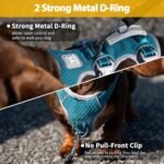 Huntboo Escape Proof Dog Harness, Escape Artist Harness, Fully Reflective Harness with Padded Handle, Breathable, Durable, Adjustable Vest for Small Dogs Walking, Training, and Running Gear (Teal,S) - Image 5