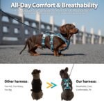 Huntboo Escape Proof Dog Harness, Escape Artist Harness, Fully Reflective Harness with Padded Handle, Breathable, Durable, Adjustable Vest for Small Dogs Walking, Training, and Running Gear (Teal,S) - Image 6