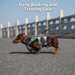 Huntboo Escape Proof Dog Harness, Escape Artist Harness, Fully Reflective Harness with Padded Handle, Breathable, Durable, Adjustable Vest for Small Dogs Walking, Training, and Running Gear (Teal,S) - Image 8