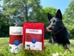 Cranimals Spirulina for Dogs and Cats- multimineral, multivitamin, DHA Omega 3 All in One Pet Supplement - Image 3