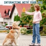 Dog Squeaky chew Toys for Dogs who Like to chew, Rubber Carrot Tumbler Dog Toys for Training and Cleaning, Durable Interactive Tough Dog Toys for Medium and Large Dogs - Image 6