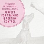 Caledon Farms, Chewy Chicken Sticks, 220 g, Dog Treats - Image 9