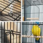 PawHut 36" Bird Cage for Finches Canaries Budgies, Parrot Cage with Accessories Handle, Black - Image 10