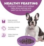 Slow Feeder Dog Bowls, Puzzle Silicone Dog Feeding Bowls for Dogs & Cats, Slow Feeder Non-Slip with Suction Cups, Anti-Choking, Non BPA, Reduces Boredom, Anxiety, Dishwasher Microwave Safe - Image 3