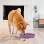 Slow Feeder Dog Bowls, Puzzle Silicone Dog Feeding Bowls for Dogs & Cats, Slow Feeder Non-Slip with Suction Cups, Anti-Choking, Non BPA, Reduces Boredom, Anxiety, Dishwasher Microwave Safe - Image 7