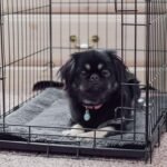 K&H PET Products Self-Warming Cat Bed Pad, Self-Heating Thermal Cat and Dog Bed Mat, Pet Warming Pad for Cats, Cat Warmer Mat for Feral and Indoor Cats, Gray/Black 21 X 17 Inches - Image 7