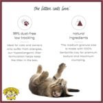 Precious Cat Classic Premium Clumping Cat Litter, 40 Pound Bag - Image 5