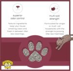 Precious Cat Classic Premium Clumping Cat Litter, 40 Pound Bag - Image 6