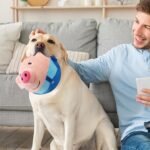 Livun Active Moving Pet Plush Toy, Interactive Dog Toy Pet Bouncing Balls, Moving Dog Ball Plush Toy Talking Moving Dog Toy Dog Pet Toy Shake Bounce Boredom Toys for Pets, Cats (red) - Image 3