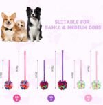 Snuffle Ball with Bungee Tug, Tug of War Rope Toys for Small Medium Dogs, Interactive Dog Toys Puppy Training Pull Toy for Exercise & Interactive Play Games (Pink) - Image 4