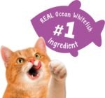 Friskies Party Mix Cat Treats | Gravy-Licious Turkey & Gravy Crunch + Kahuna Crunch (454g Canisters) - Image 7