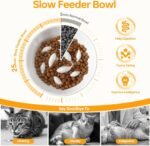 PETTOM Slow Feeder Cat Bowl, Ceramic Raised Cat Slow Feeder Bowl Elevated Anti Vomiting for Dry and Wet Food (1 Pack) - Image 3