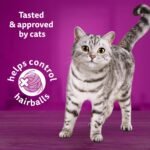 WHISKAS Adult Dry Cat Food - Hairball Control With Real Chicken, 1.5kg bag - Image 4