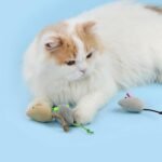 8 Pcs Cat Mouse Toys，Catnip Toys for Indoor Cats ，Plush Cat Chew Toys Teething Interactive Catnip Filled Kitten Toy Soft Pet Toy - Image 7
