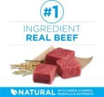 Purina ONE +Plus Small Breed Dry Dog Food with Beef - 3.63 kg Bag - Image 5