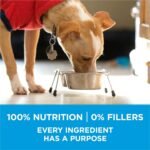 Purina ONE +Plus Small Breed Dry Dog Food with Beef - 3.63 kg Bag - Image 7