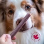 Animora Cranberry Dental Sticks (16 Chews) - Large - Improves Oral Health, Fights Bad Breath, Tartar and Dental Plaque Buildup - Image 3