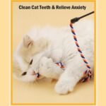 KABASI 3PCS Cat String Wand Toys, Colorful Interactive Cats Teaser Wand with Bell, Plush Srtip Teaser Toy Cat Rope Stick for Indoor Kitten Having Fun Exerciser Playing - Image 8