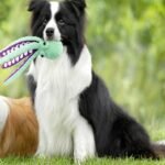 Plush Octopus Dog Toy, Mint Green and Purple, Interactive Squeaky Pet Chew Toy - Image 3