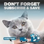 ARM & HAMMER Platinum Cat Litter Cloud Control, Extra Strength with 14 Days of Odour Control, Multi-Cat Clumping Cat Litter with Hypoallergenic Light Scent, Value Size 16.78kg (Pack of 1) - Image 7