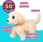 Little Live Pets Ouchies - Cooper The Retriever Puppy|Transform from Injured to Healed Like a Vet. Make a Real Cast. Walking Puppy with Carrier (35cm/13.8in Tall). Repeat Play. 50+ Sounds & Reactions - Image 4