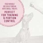 Caledon Farms, Chewy Lamb Sticks, 200 g, Dog Treats - Image 9