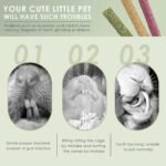 ERKOON 25 Pcs Timothy Hay Sticks,Rabbit Chew Toys for Teeth Natural Timothy Grass Molar Sticks Rabbits Treats for Bunnies, Chinchilla Guinea Pigs, Gerbil, Hamster (25 PCS) - Image 6