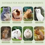 ERKOON 25 Pcs Timothy Hay Sticks,Rabbit Chew Toys for Teeth Natural Timothy Grass Molar Sticks Rabbits Treats for Bunnies, Chinchilla Guinea Pigs, Gerbil, Hamster (25 PCS) - Image 8