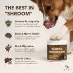 Petpal Super Mushrooms Powder for Dogs & Cats | 10 in 1 Support Complex | Pure Organic Mushrooms with Beta-Glucans | Superfood Topper | Daily Wellness | Immune, Brain, Liver | 60g (120 Servings) - Image 3