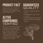 Petpal Super Mushrooms Powder for Dogs & Cats | 10 in 1 Support Complex | Pure Organic Mushrooms with Beta-Glucans | Superfood Topper | Daily Wellness | Immune, Brain, Liver | 60g (120 Servings) - Image 4