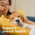 Petpal Super Mushrooms Powder for Dogs & Cats | 10 in 1 Support Complex | Pure Organic Mushrooms with Beta-Glucans | Superfood Topper | Daily Wellness | Immune, Brain, Liver | 60g (120 Servings) - Image 6
