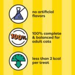 Temptations Cat Treats Shrimpy Shrimp Flavor, 16 oz. Tub - Image 4