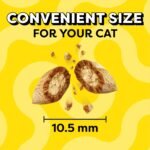 Temptations Cat Treats Shrimpy Shrimp Flavor, 16 oz. Tub - Image 10