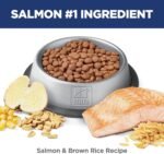 Hill's Science Diet Adult Perfect Digestion Salmon, Brown Rice & Whole Oats Recipe Dry Cat Food 2.72 kg Bag - Image 6