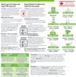 Advanced Odor Remover- Highly Concentrated Bio Enzyme - Pet Odor Eliminator for Dog, Cat, and Small Animal Urine - Indoor & Outdoor Use for Any Organic Spills (4L jug) - Image 4