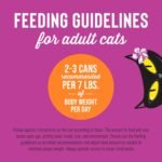 Tikicat Gourmet Whole Food 12-Pack King Kamehameha Luau 9-Flavor Variety Pack Pet Food - Image 8