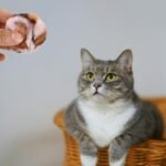 NOLITOY 6pcs Cat Pom Pom Balls, 1.97in Leopard Print Furry Cat Toys Balls for Kitten Pet Interactive Chasing Playing Exercising - Image 9